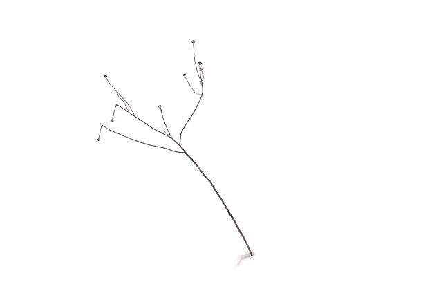 植物透过白雪的背景窥视图片下载