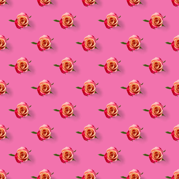 玫瑰花蕾无缝模式。粉红图案上孤立的玫瑰花头，波普艺术图片下载