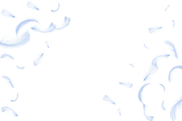 羽毛孤立。图案摄影中抽象的鸟类羽毛纹理特写落在白色的背景上。敏感性的概念对自然的反应。图片下载