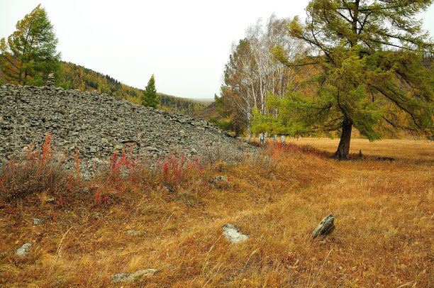 几棵松树生长在一个秋季山谷里的古斯基泰墓葬遗址附近。图片下载