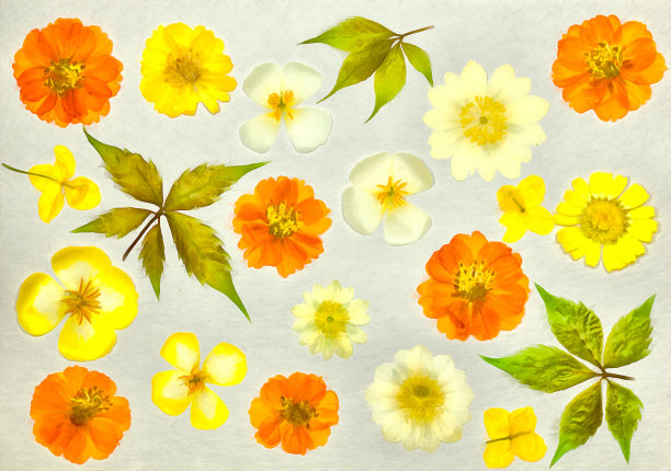 旧相册中的一页。宇宙，科斯梅亚花在水彩画风格。质地，包装图案或问候，卡片，明信片。数字成油画。水彩绘画。剪贴簿元素。图片下载