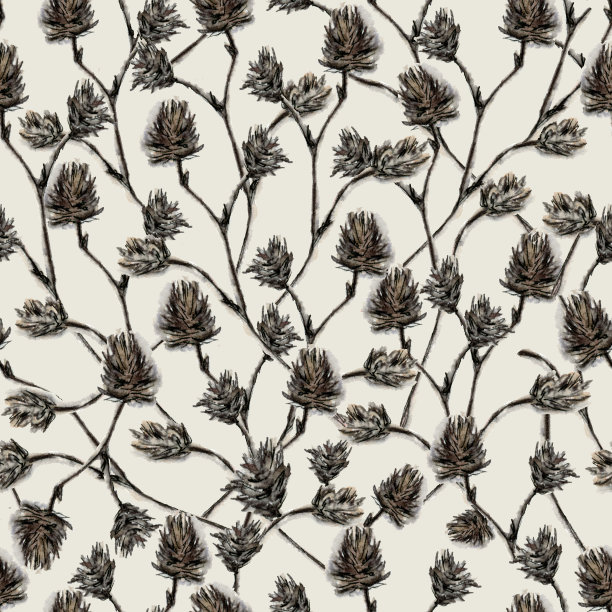 粉彩水彩插图细腻，米色蓬松的树枝在素描风格。图片下载