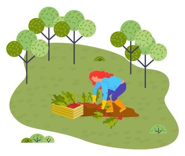 女人收割甜菜矢量平面插图的人从地上拉起手蔬菜图片下载