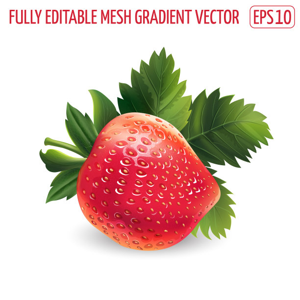 白色背景上有叶子的成熟草莓图片下载