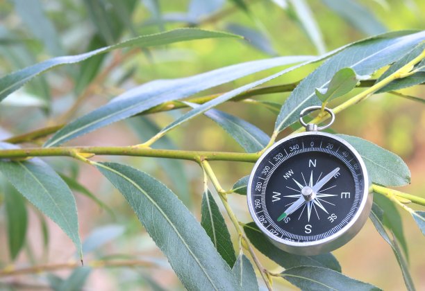自然背景下的经典指南针图片下载