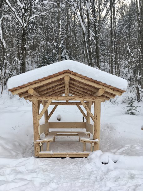 冬天雪下的巴伐利亚村庄。图片下载