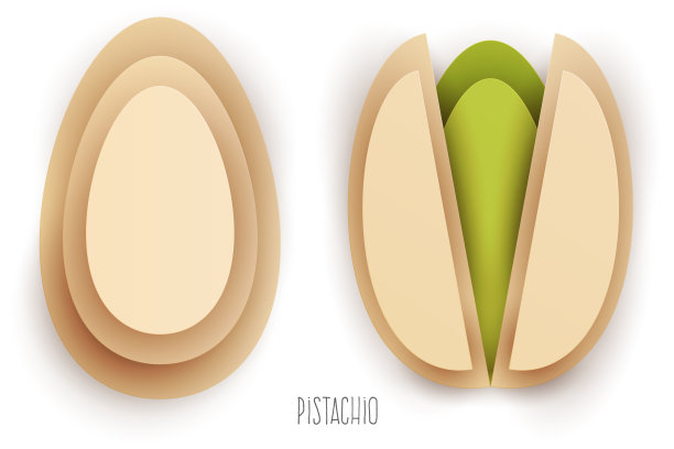 卡通整体和半开心果在现代几何3d剪纸风格孤立在白色背景。生动的创意矢量艺术元素。抽象设计插画的极简概念。图片下载