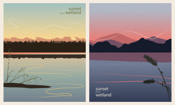 湿地上的日落，多色的背景图片下载