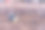 纽约中央公园的松鼠。松鼠吃坚果。美国曼哈顿图片下载