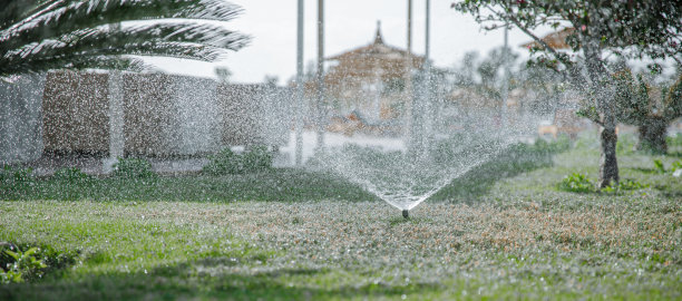热带花园中洒水器浇灌草木图片下载
