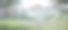热带花园中洒水器浇灌草木图片下载