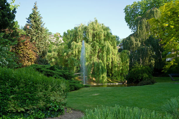 花园Épernay，法国图片下载