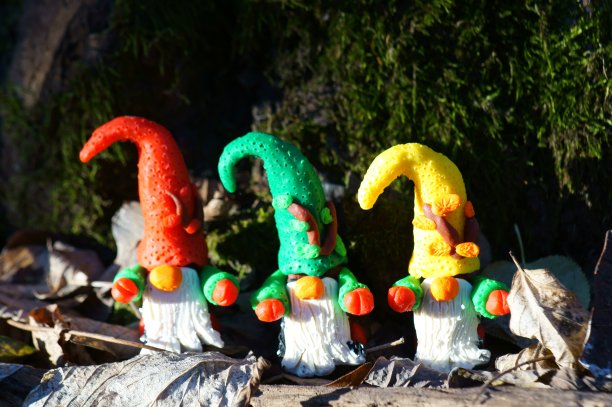 森林里五颜六色的小矮人。图片下载