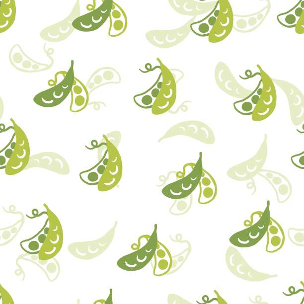 无缝模式与新鲜大豆豆荚矢量图形插图图片下载