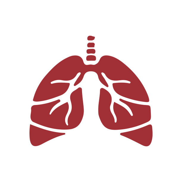 在白色上分离的人类肺部的矢量图。人体肺部图标解剖学。呼吸系统。图片下载