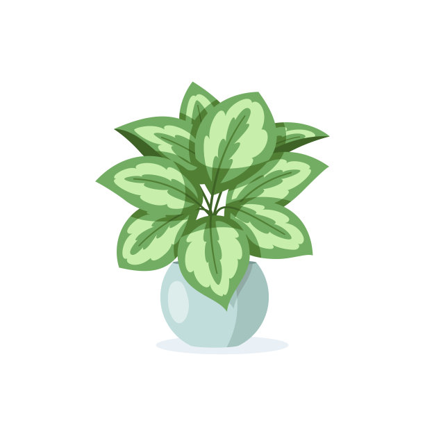 花在盆中孤立在白色背景上图片下载