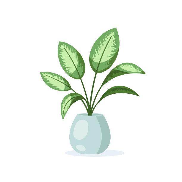 花在盆中孤立在白色背景上图片下载