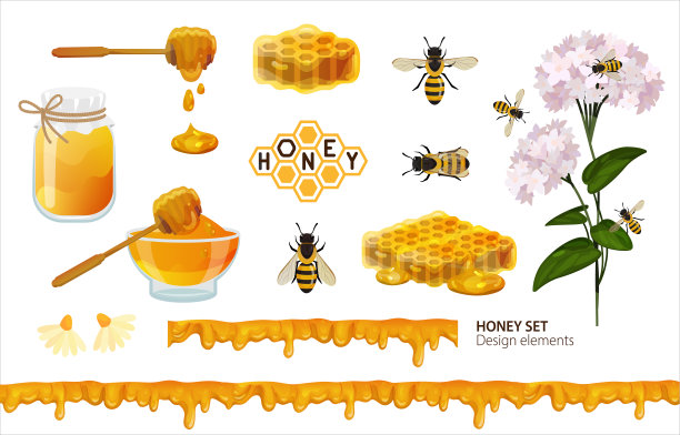 蜂蜜。设计元素与蜂蜜图像孤立在白色图片下载