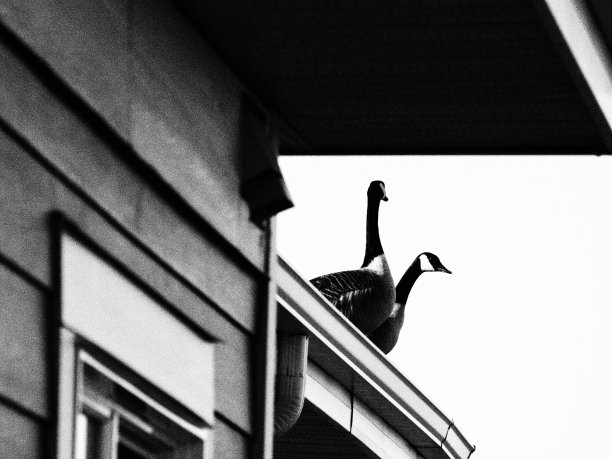 天台风云图片下载