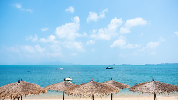 棕榈叶顶，海边的沙滩伞图片下载