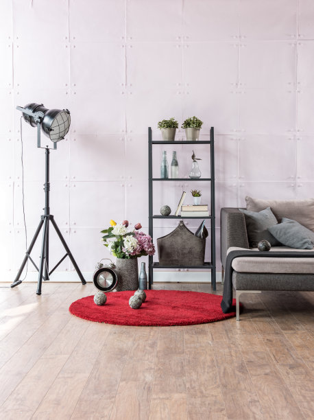 现代的室内客厅，角落里有沙发和地毯图片下载