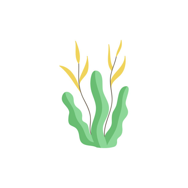 海藻可爱图片下载