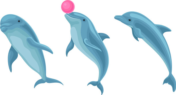 蓝海豚是水生哺乳动物，身体呈流线型图片下载