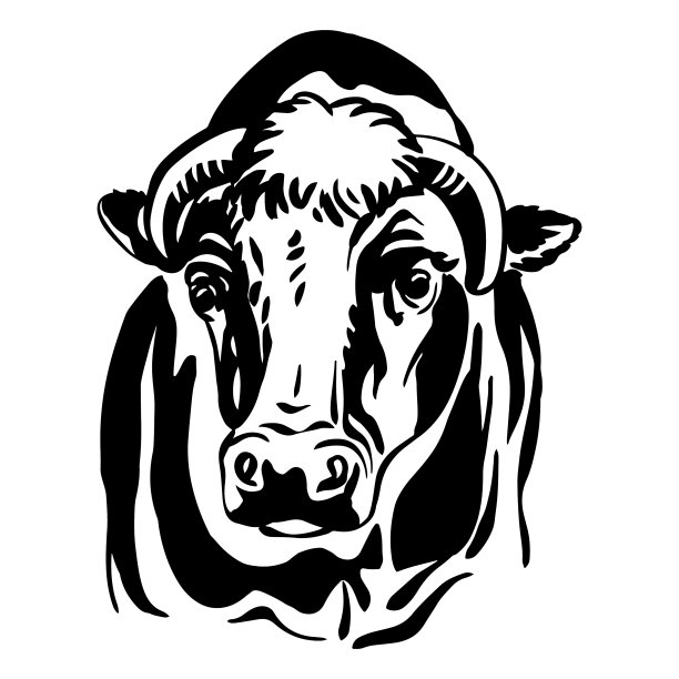 抽象肖像公牛黑图片下载