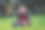 女孩在公园里用单反相机拍照图片下载