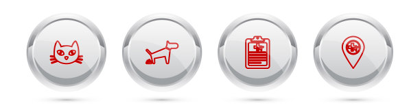 设行宠物猫狗排便临床记录图片下载