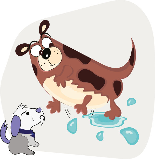 狗在水里玩图片下载