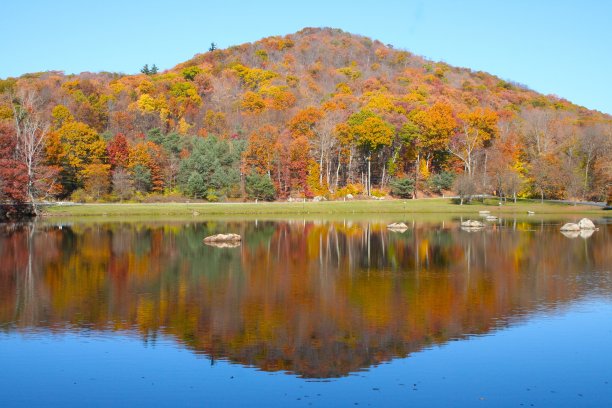 秋天秋色风景如画图片下载