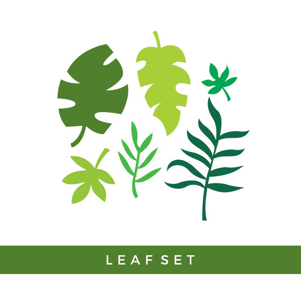 叶设置简单图片下载