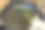 女孩在平底锅里倒油图片下载