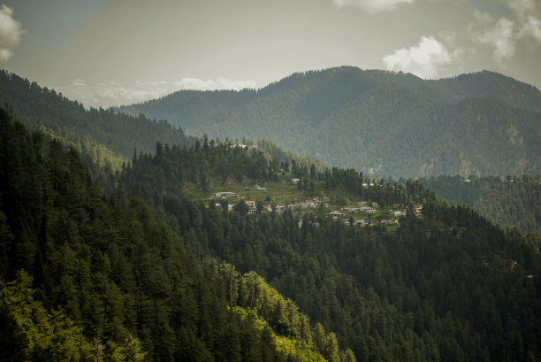 巴基斯坦Murree Ayubia的自然，绿树景观，图片下载