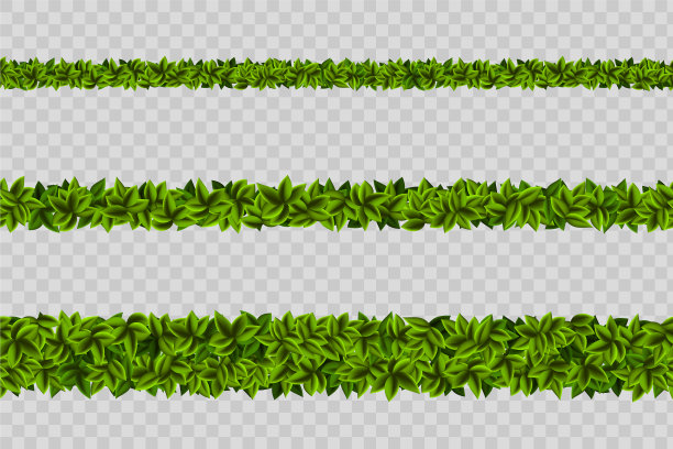 绿色叶子的藤蔓花环图片下载