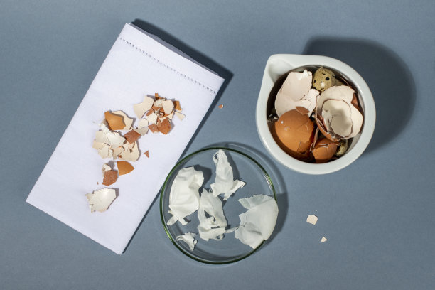 蛋壳膜。蛋壳膜中的胶原蛋白。“零浪费”化妆品。图片下载
