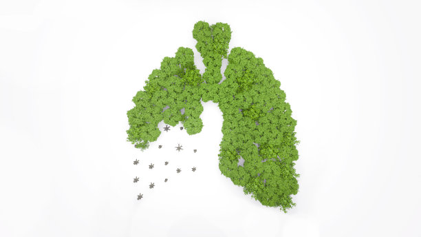 由绿树构成的肺符号，它的一部分生病/丢失了图片下载