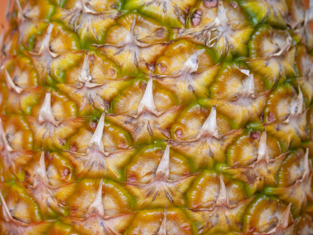 一个未加工的菠萝皮作为背景的特写图片下载