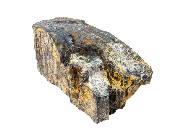 一块化石树。原褐煤孤立在白色背景上图片下载