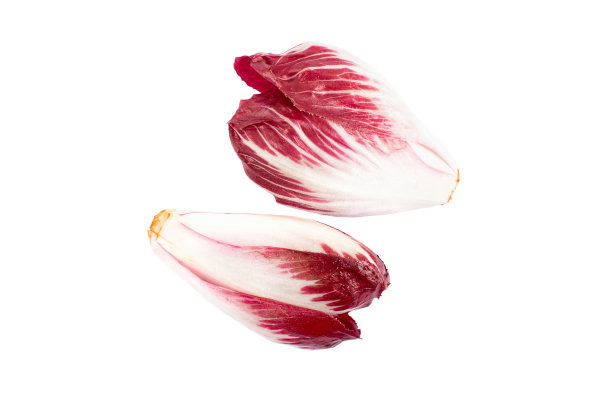 红色的比利时菊苣图片下载