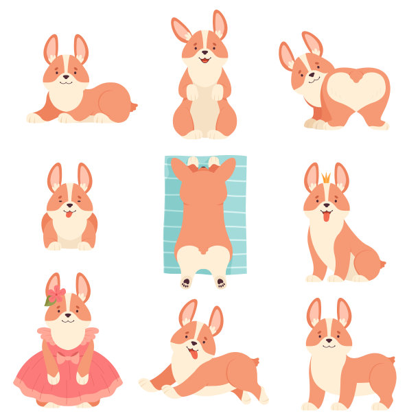 短腿和棕色皮毛的威尔士柯基犬图片下载