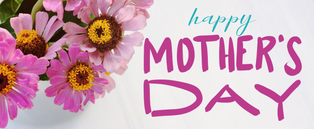母亲节的横幅上插着鲜花图片下载