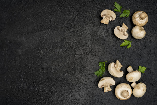 黑色背景上的新鲜蘑菇图片下载