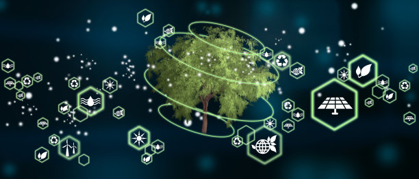 树作为可再生能源的概念。热爱大自然中的太阳能。生物多样性的可持续发展图片下载