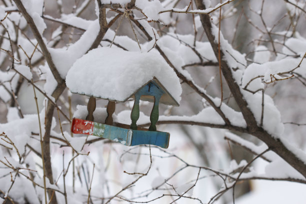 喂鸟器图片下载