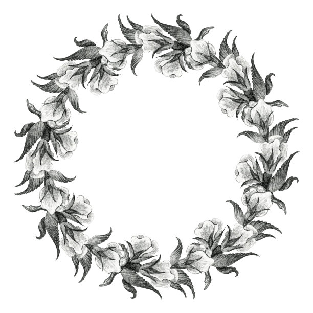 花圈，框架和带花的树枝。铅笔绘制插图。图片下载