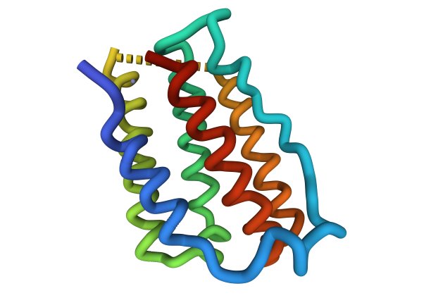 重组人干扰素- 2B的结构图片下载
