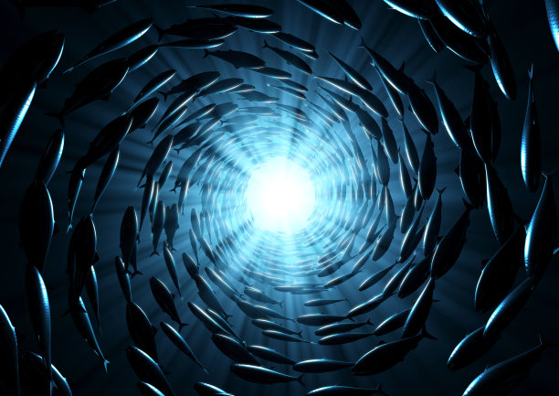 旋转鱼和太阳图片下载