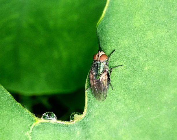 请让我摆个姿势图片下载